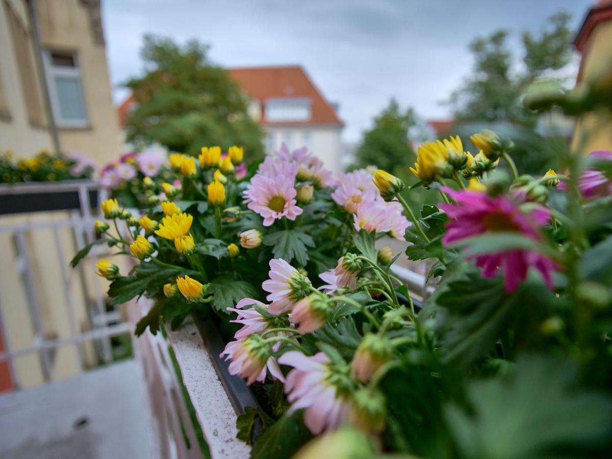 Appartement Otto I - Erfurt Zentrum Exteriér fotografie